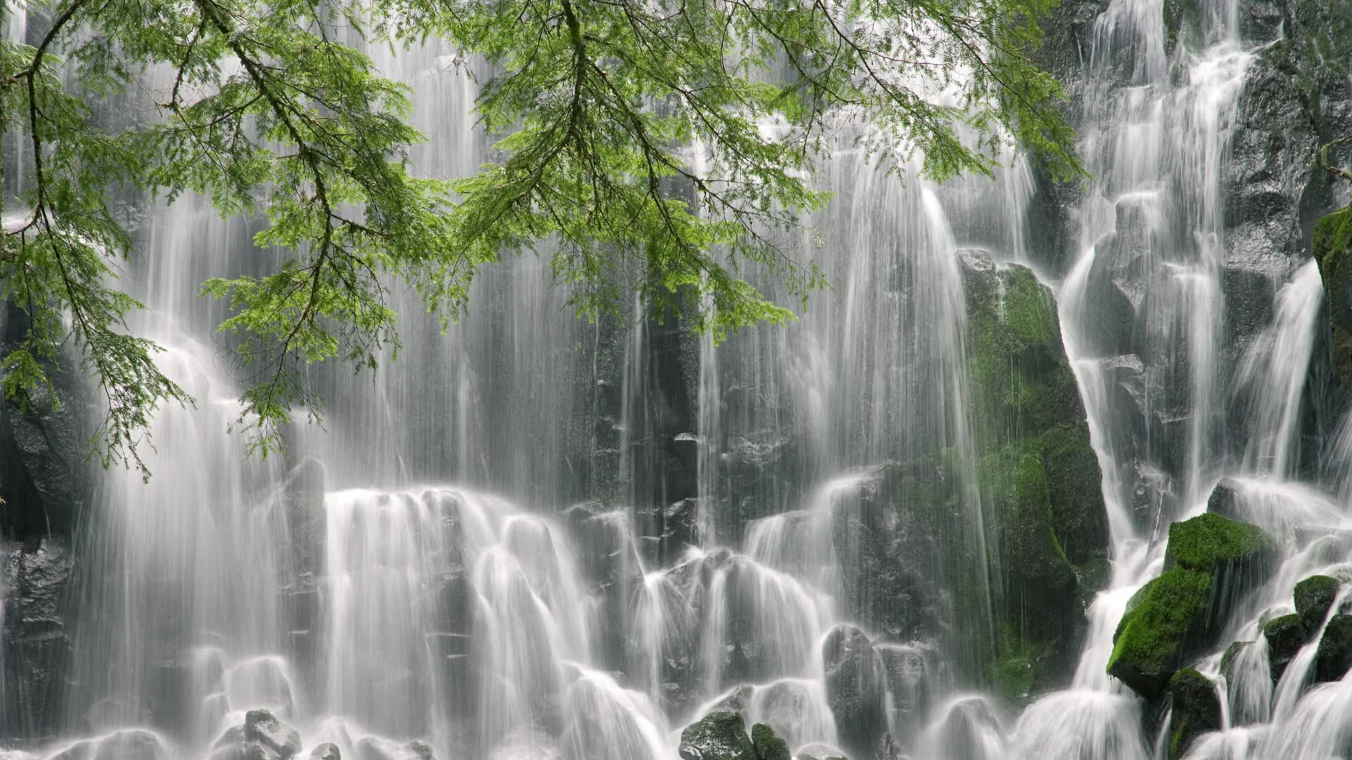 暗夜刀锋,当澳洲袋熊以节奏为食,久保建英的致命一击如何定义C组唯一变量